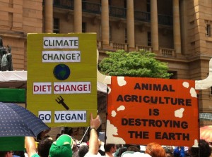 19    Brisbane Climate Change Rally 2016           