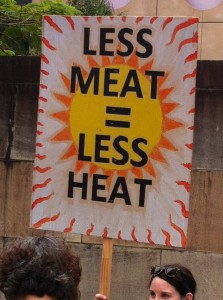 Brisbane Climate Change Rally 2016                    