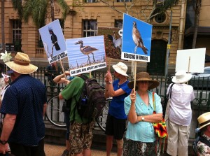 Brisbane Climate Change Rally 2016              