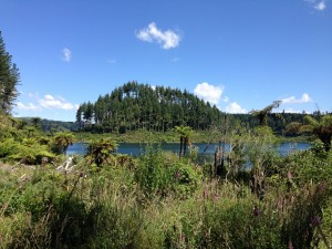 MTB Rotorua     
